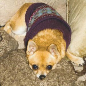 Meet your Posher, Laura